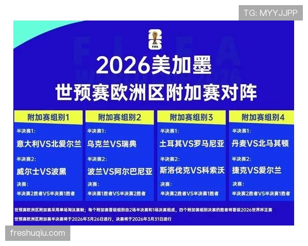 波黑队冲击2026世界杯能否突破历史最佳战绩